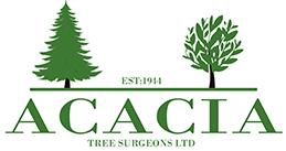 Acacia-Tree-Surgeons-Web-Logo